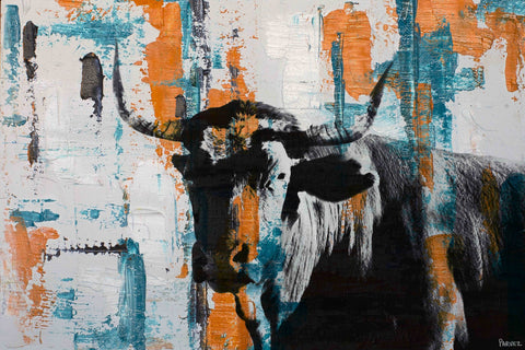 Orange Teal Steer